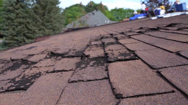 Best Asphalt Shingle Roofing  in Bellville, OH
